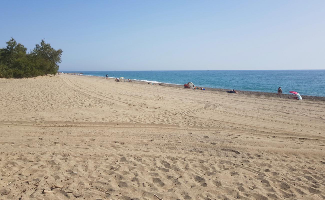 Photo de Plage de Saint-Cyprien avec sable fin et lumineux de surface