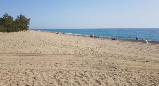 Plage de Saint-Cyprien