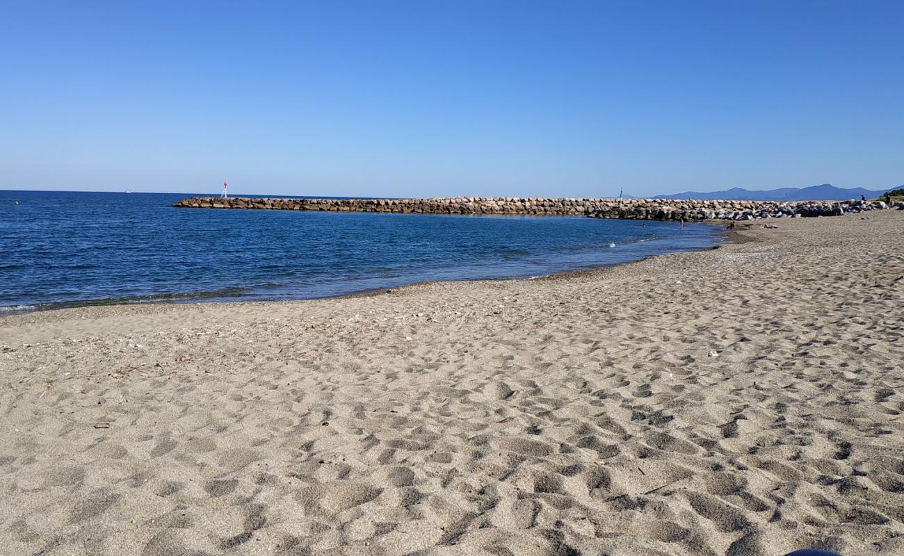 Photo de St. Marie de la Mer beach avec sable beige de surface