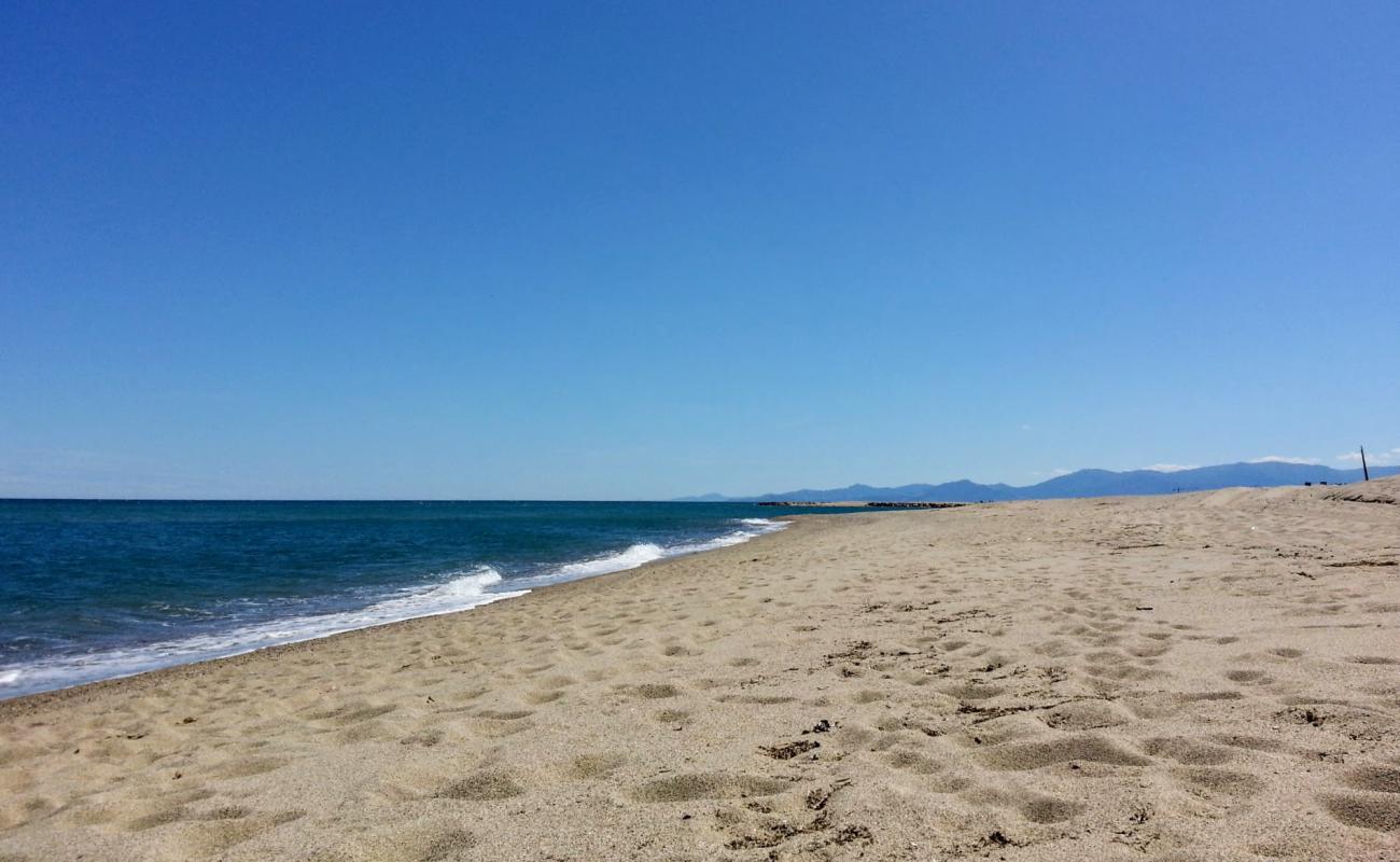 Photo de Torreilles beach avec sable fin et lumineux de surface