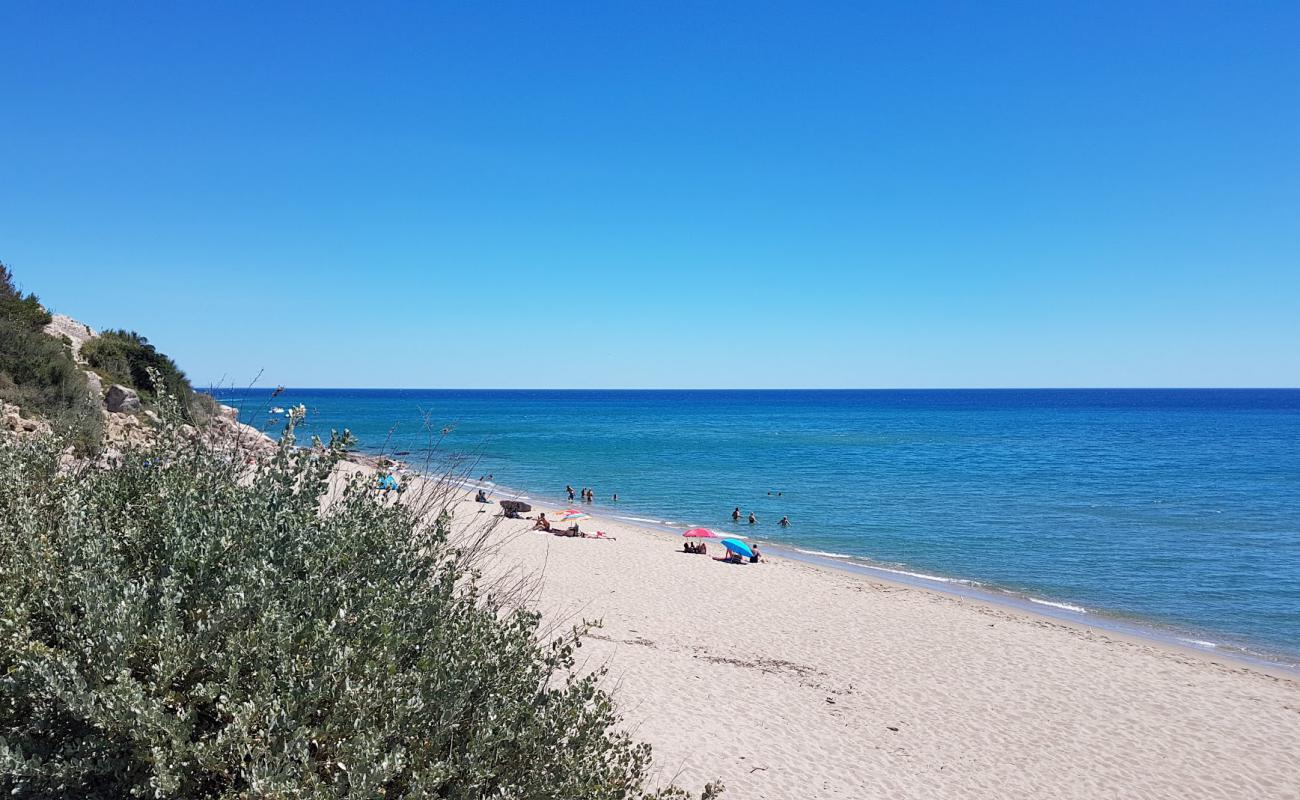 Photo de Plage de Leucate avec sable fin et lumineux de surface