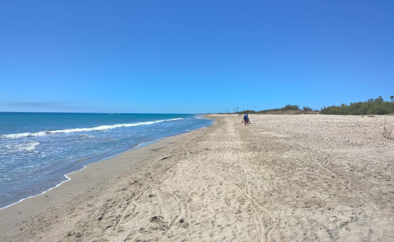 Photo de Plage des Aresquiers avec sable lumineux de surface