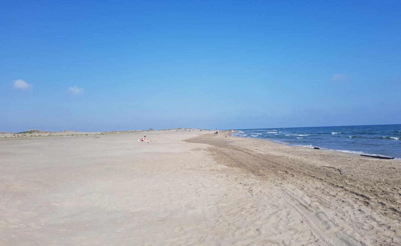 Photo de Plage de l'Espiguette avec sable fin et lumineux de surface