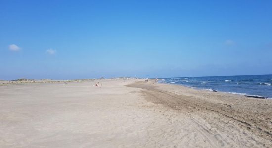 Plage de l'Espiguette