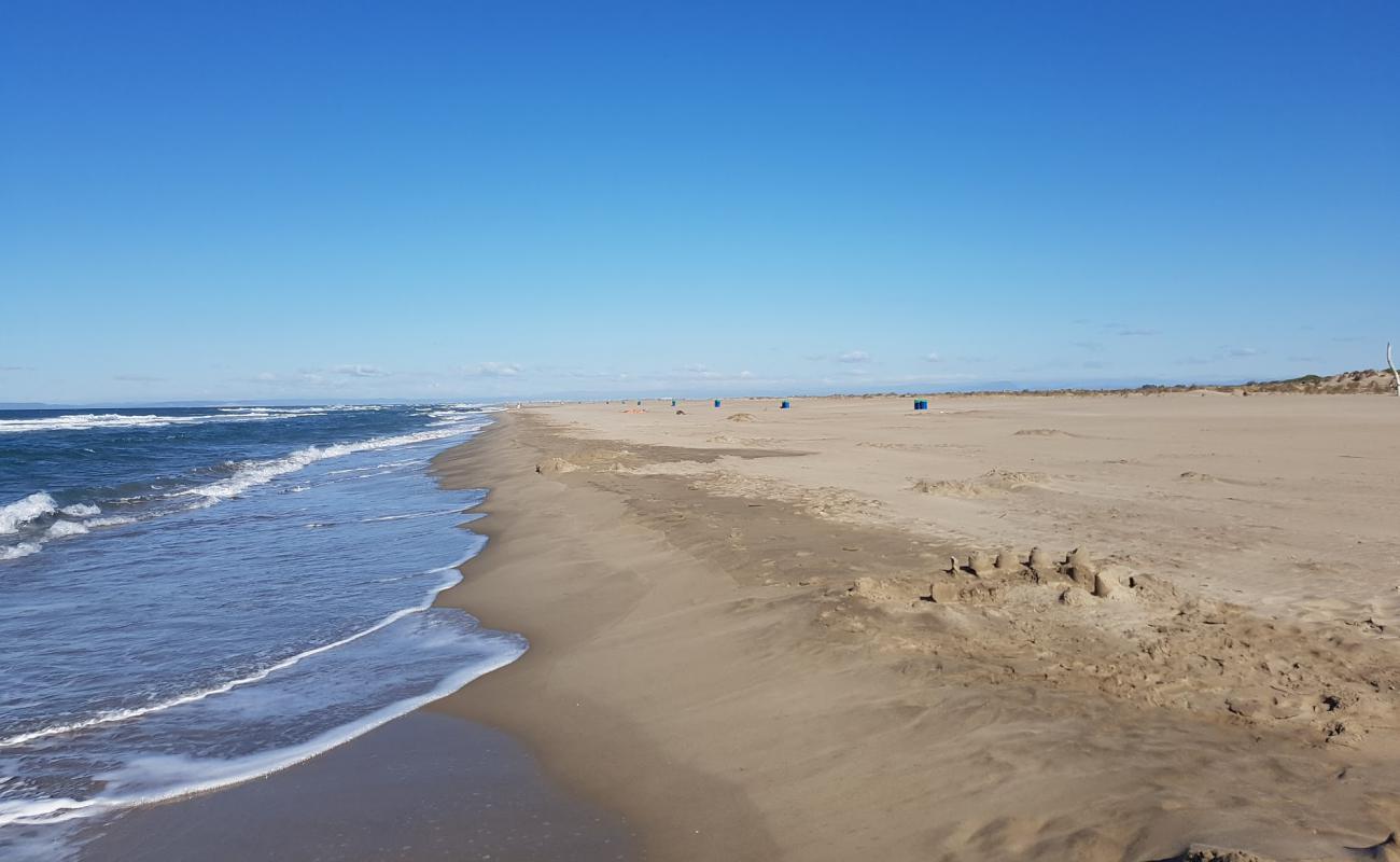 Photo de Espiguette wild beach avec sable fin et lumineux de surface