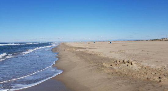 Espiguette wild beach