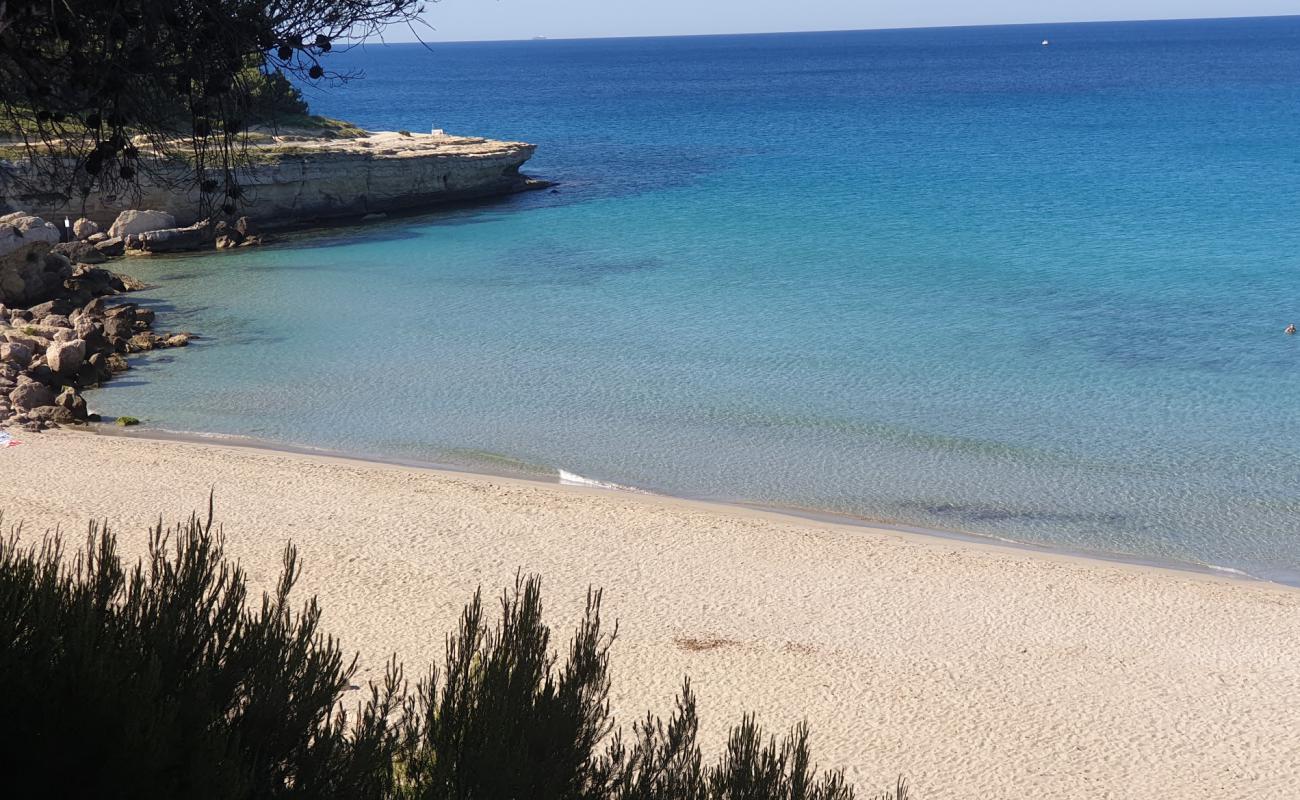 Photo de Plage de Sainte-Croix avec sable fin et lumineux de surface