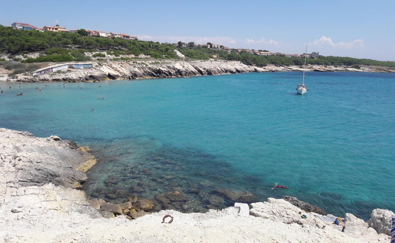 Photo de Plage Crique avec terrain rocheux de surface