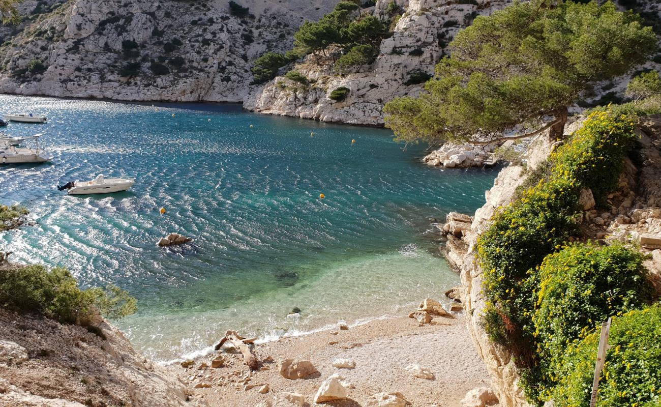 Photo de Sauvage de Morgiou avec galets beige de surface