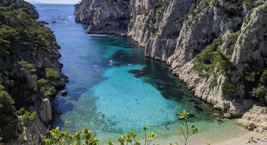 Plage de la Calanque d'En-Vau