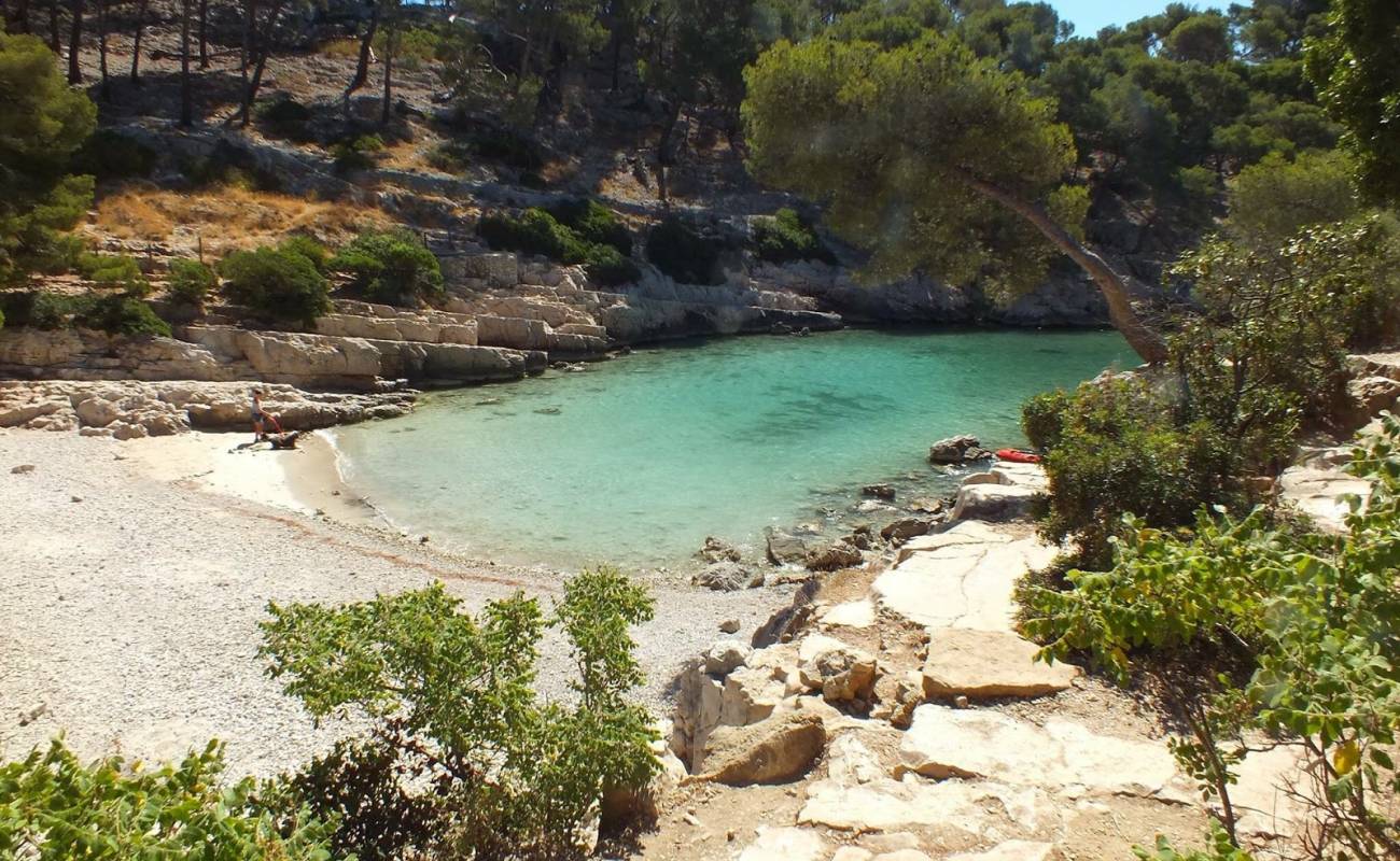 Photo de Calanque de Port Pin avec caillou clair de surface