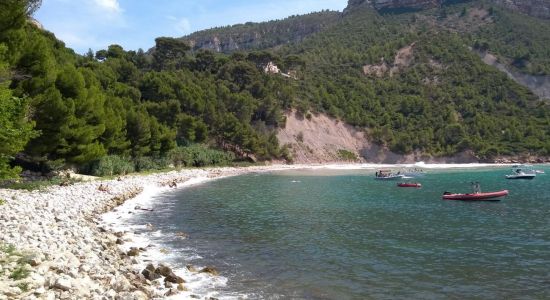 Plage de l’Arène