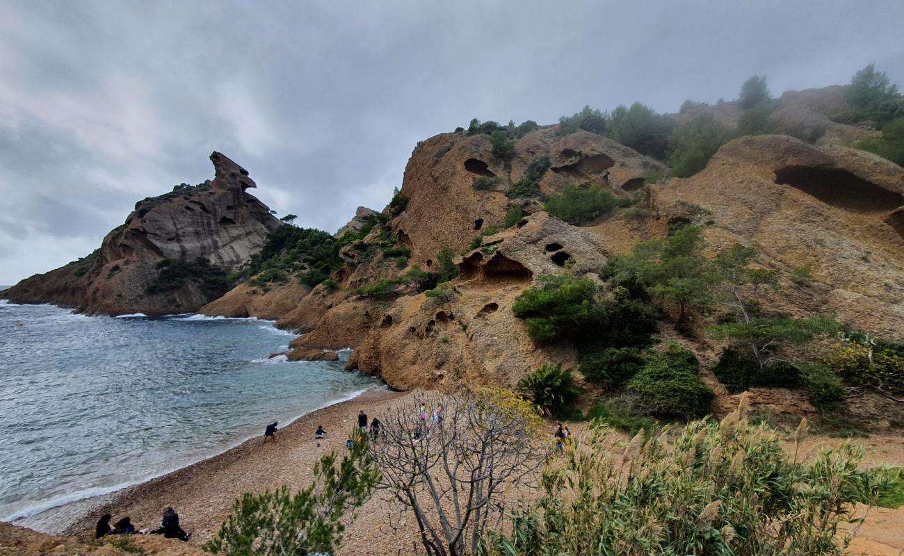 Photo de Calanque de Figuerolles avec sable brun avec roches de surface