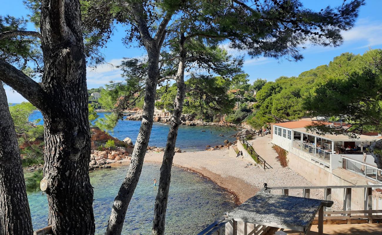 Photo de Le Méditerranée avec terrain rocheux de surface