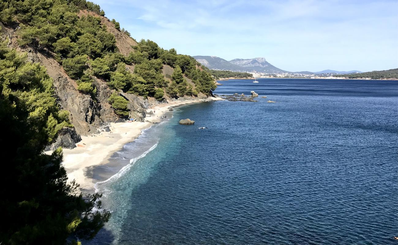 Photo de Plage du Saint-Selon avec sable gris avec caillou de surface