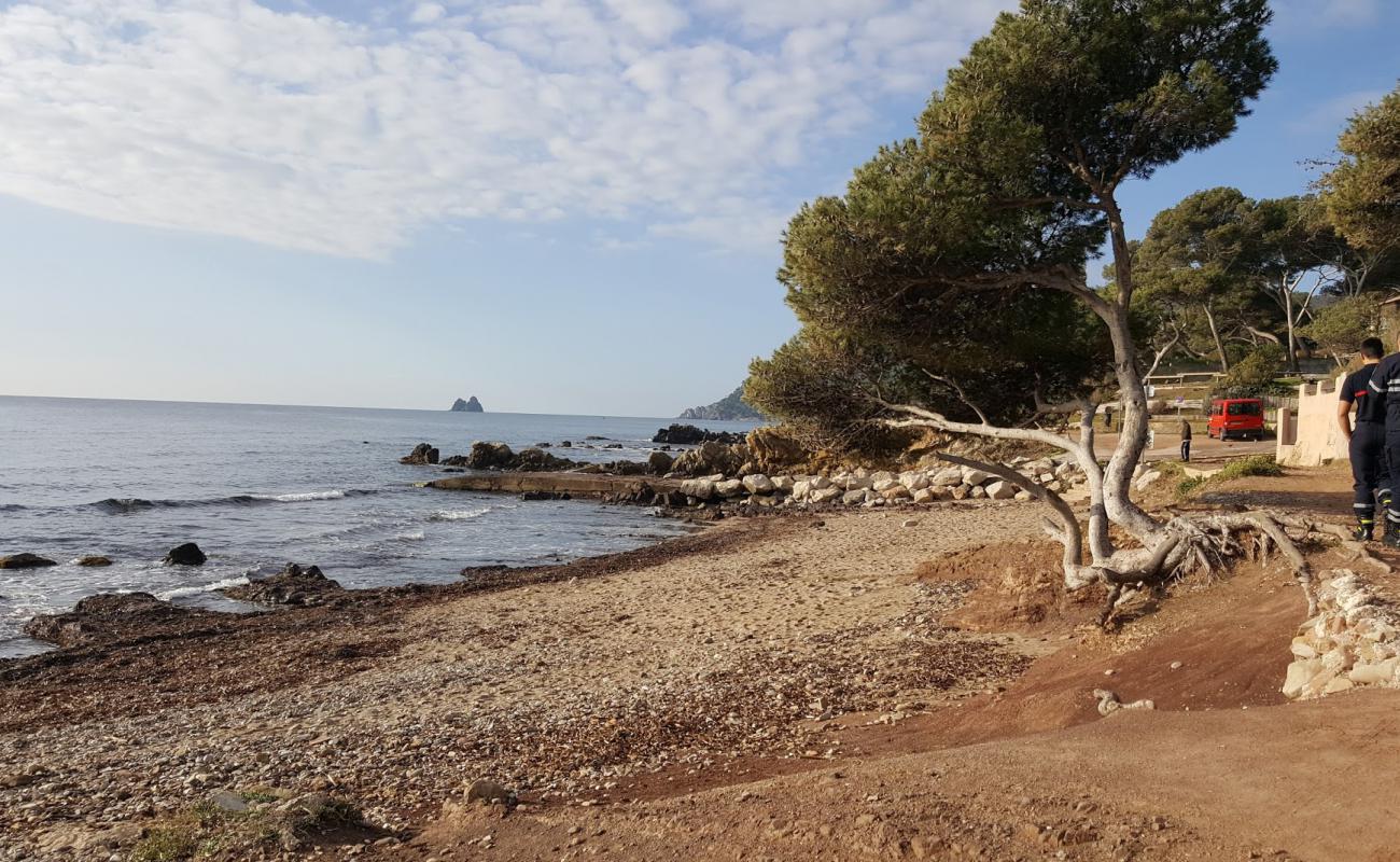 Photo de Plage de la Verne avec caillou brun de surface