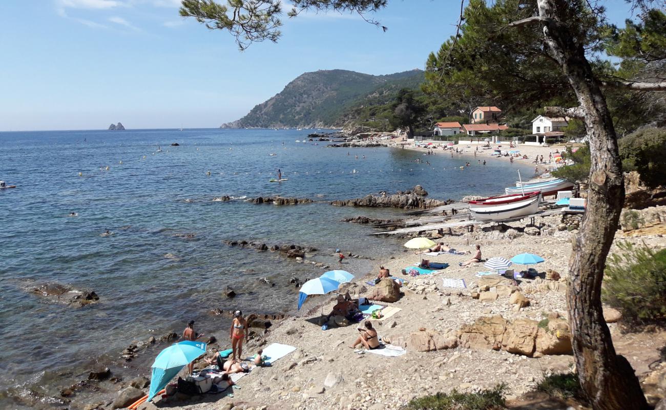 Photo de Plage de la Vernette avec sable brun & rochers de surface