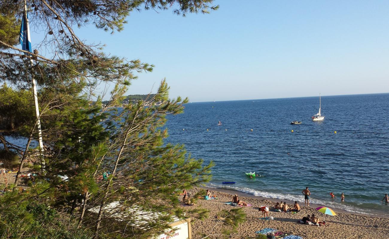 Photo de Plage du Monaco avec sable brun de surface