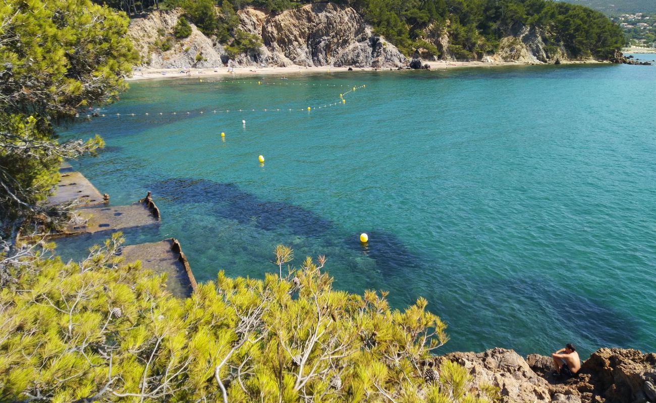 Photo de Plage des Bonnettes avec sable brun de surface