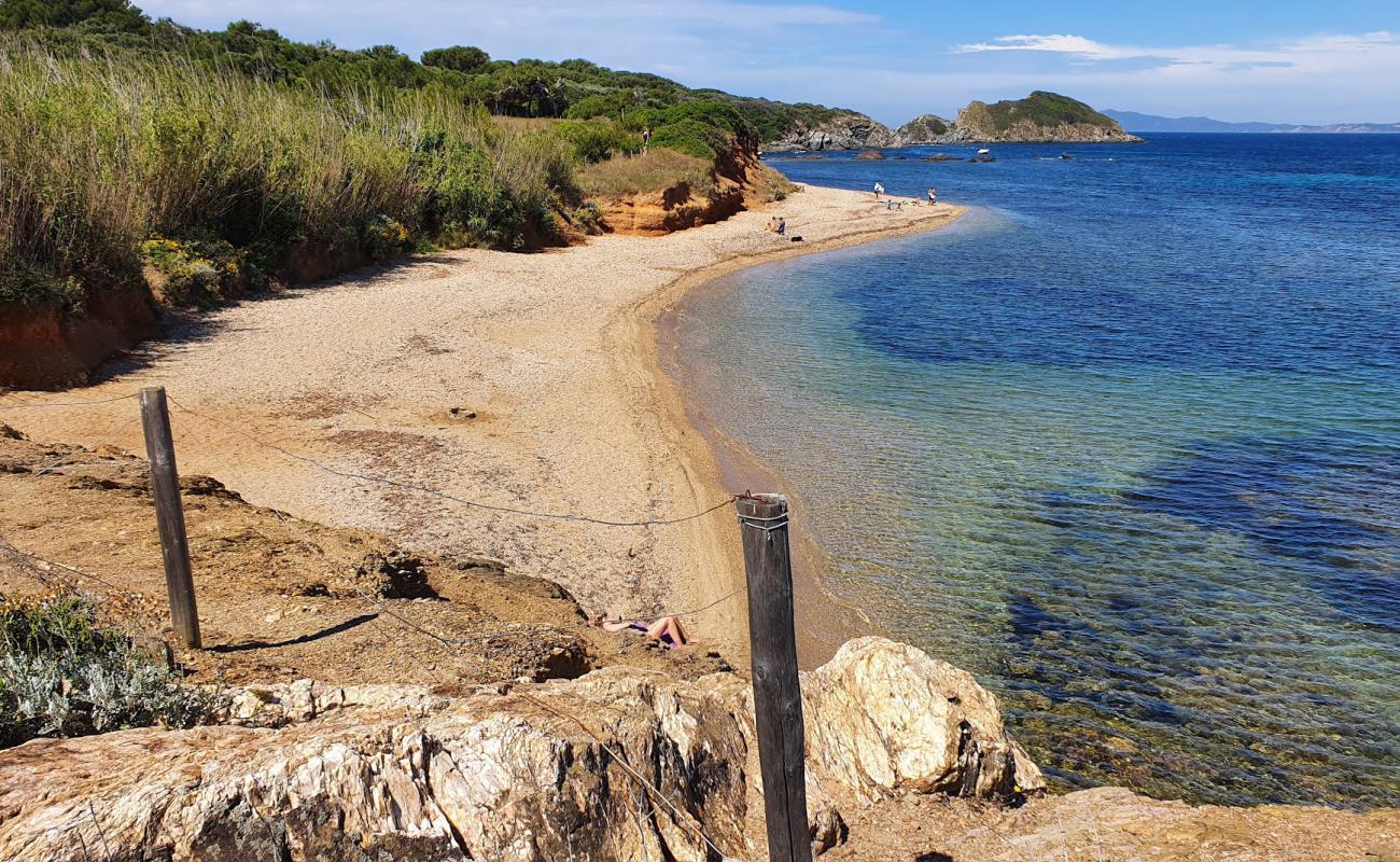 Photo de Plage de la Madrague avec sable clair avec caillou de surface