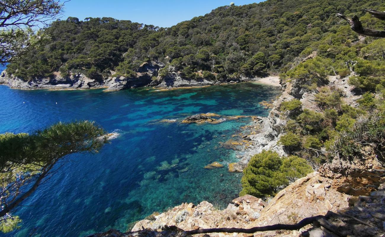 Photo de Plage d'Escampo-Barriou avec galets bruns de surface