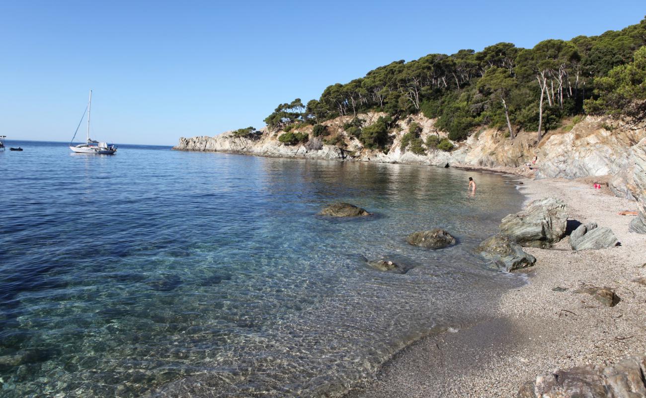 Photo de Plage des Darboussières avec caillou fin gris de surface