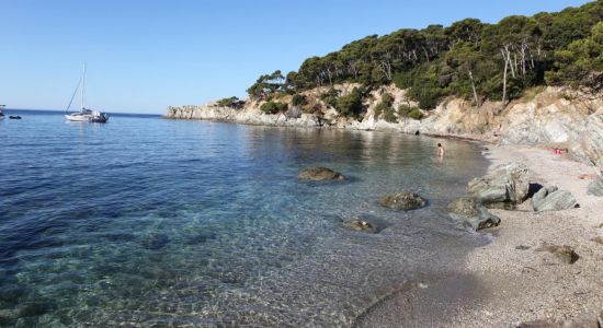 Plage des Darboussières