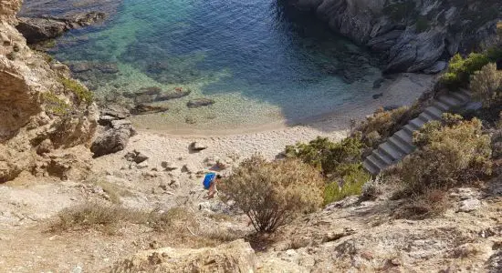 Plage la Polynésie