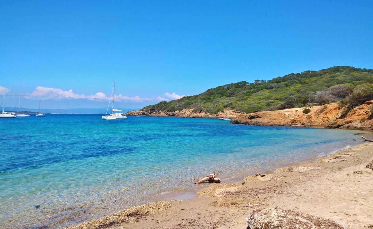 Photo de Blanche du Langoustier avec sable beige & galets de surface