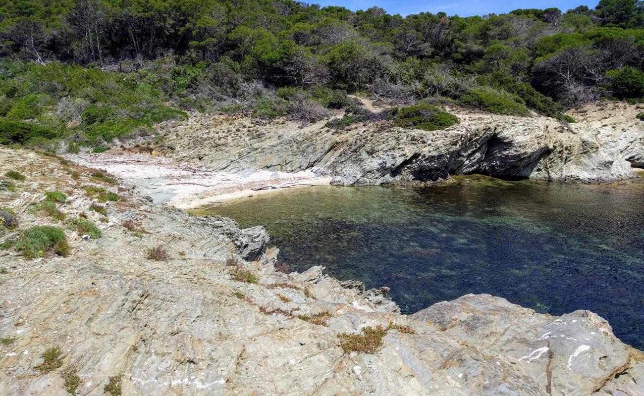 Photo de Plage de la Galère avec terrain rocheux de surface