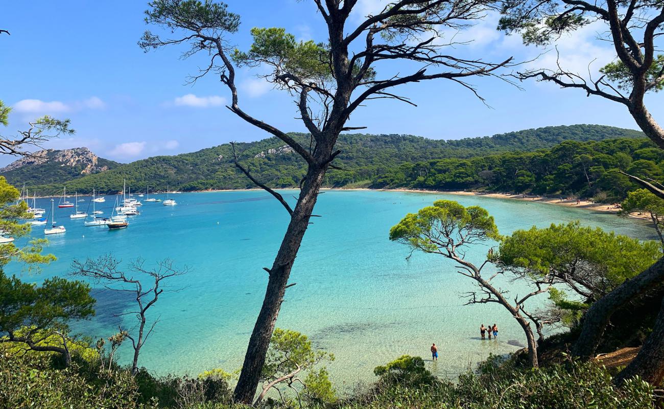 Photo de Plage Notre Dame avec sable beige de surface