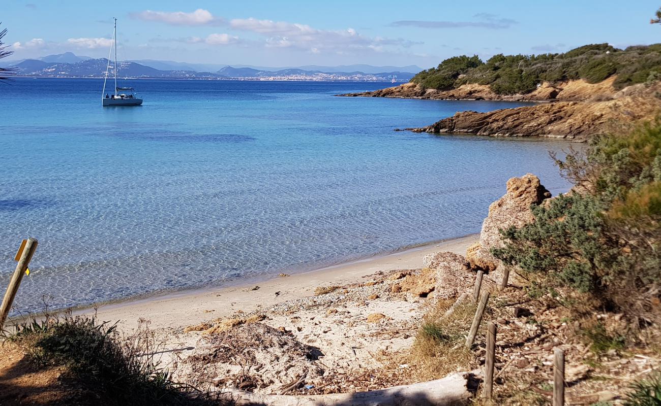 Photo de Plage du Lequin avec sable beige de surface