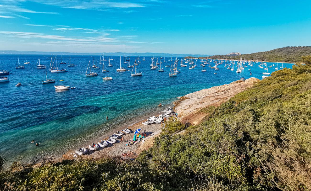 Photo de Plage de la Courtade avec sable beige de surface