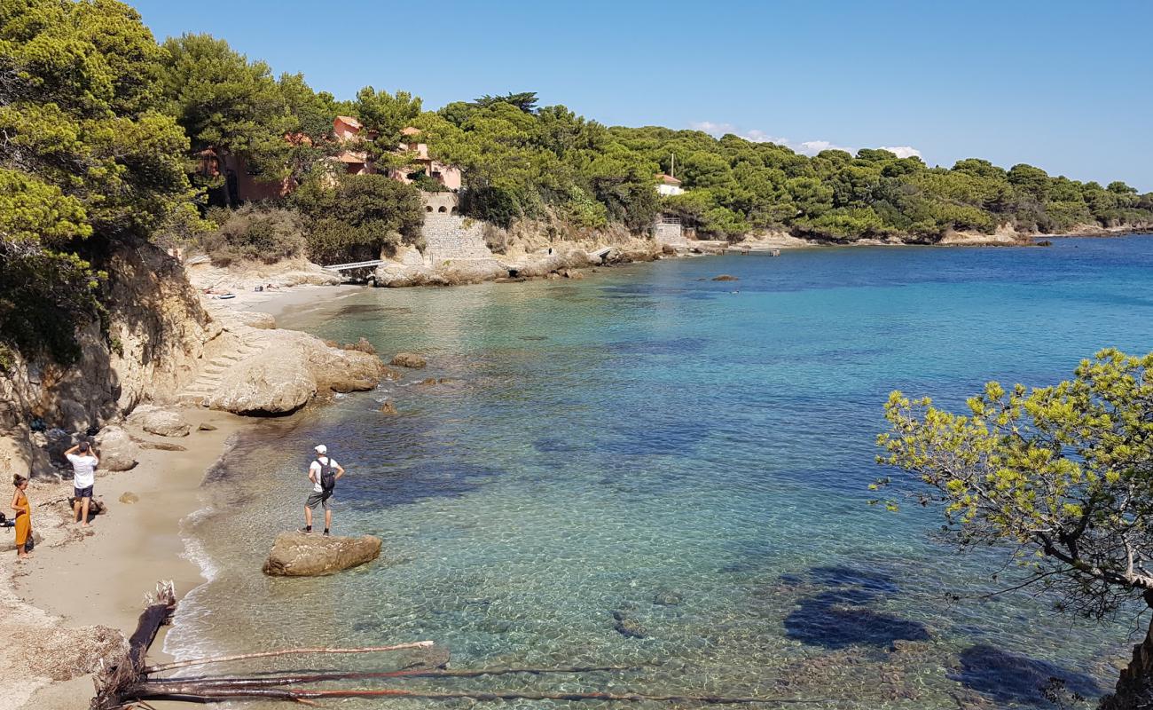 Photo de Cypress beach avec sable beige de surface