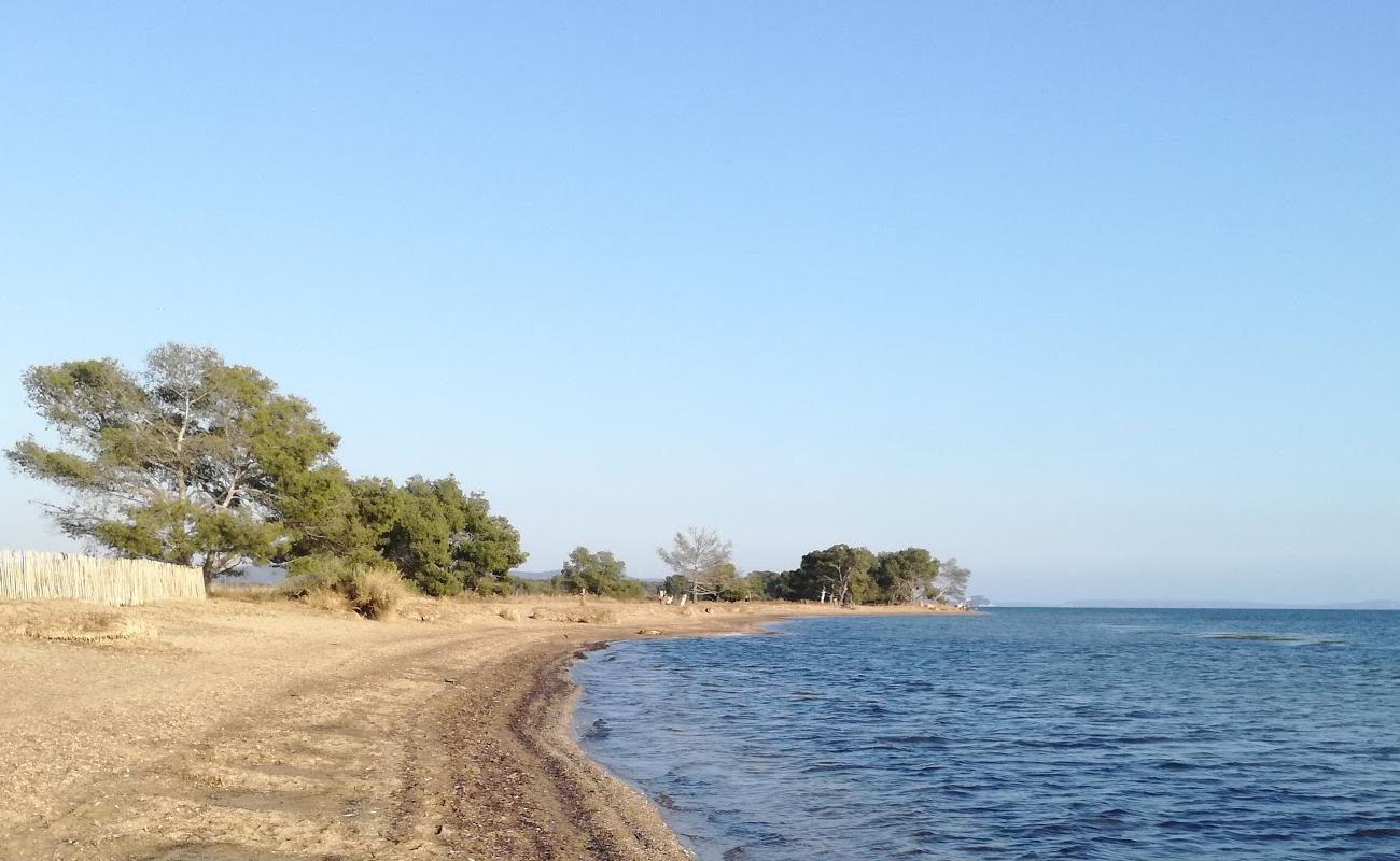 Photo de Plage des Vieux Salins avec sable beige de surface