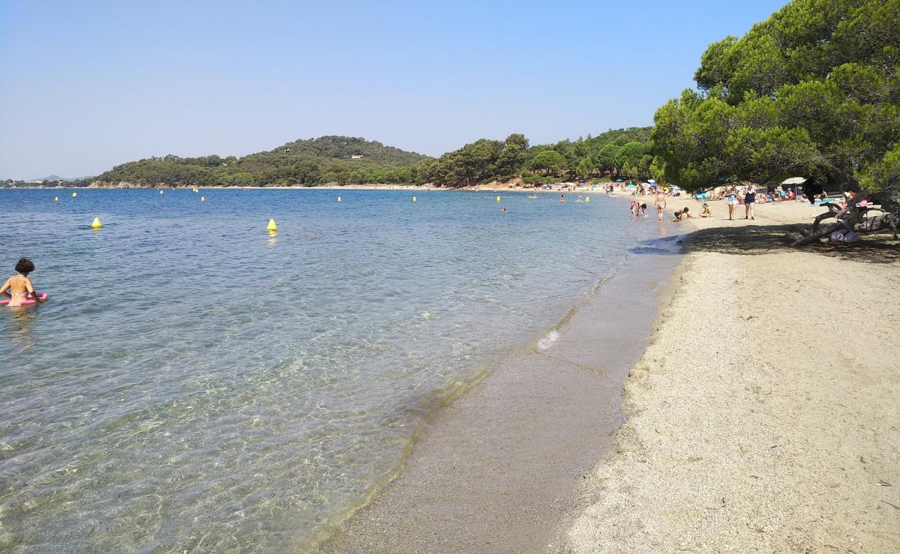 Photo de Plage Pellegrin avec sable lumineux de surface