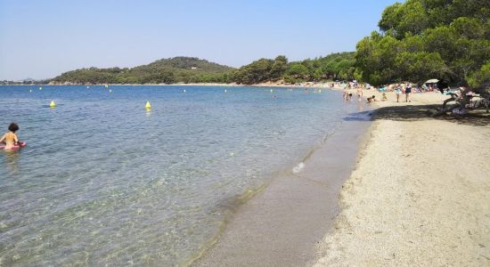 Plage Pellegrin