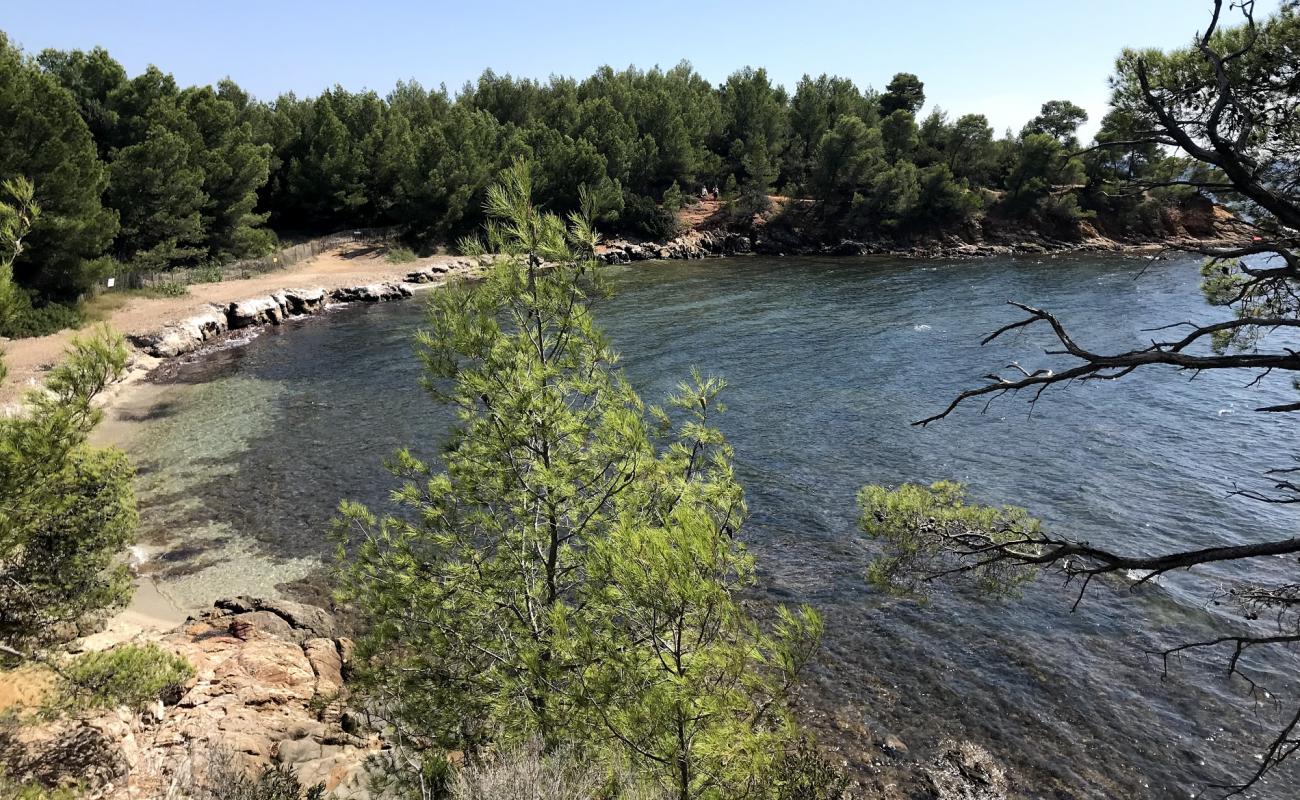 Photo de St. George's beach avec roches de surface