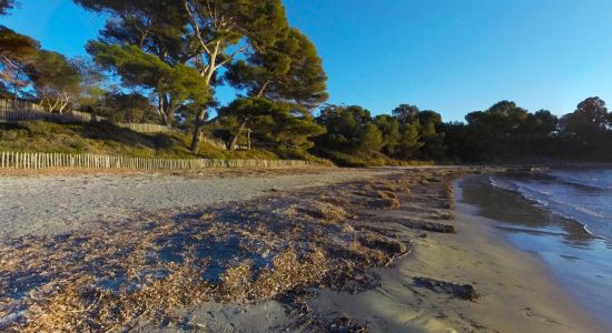 Plage de Léoube