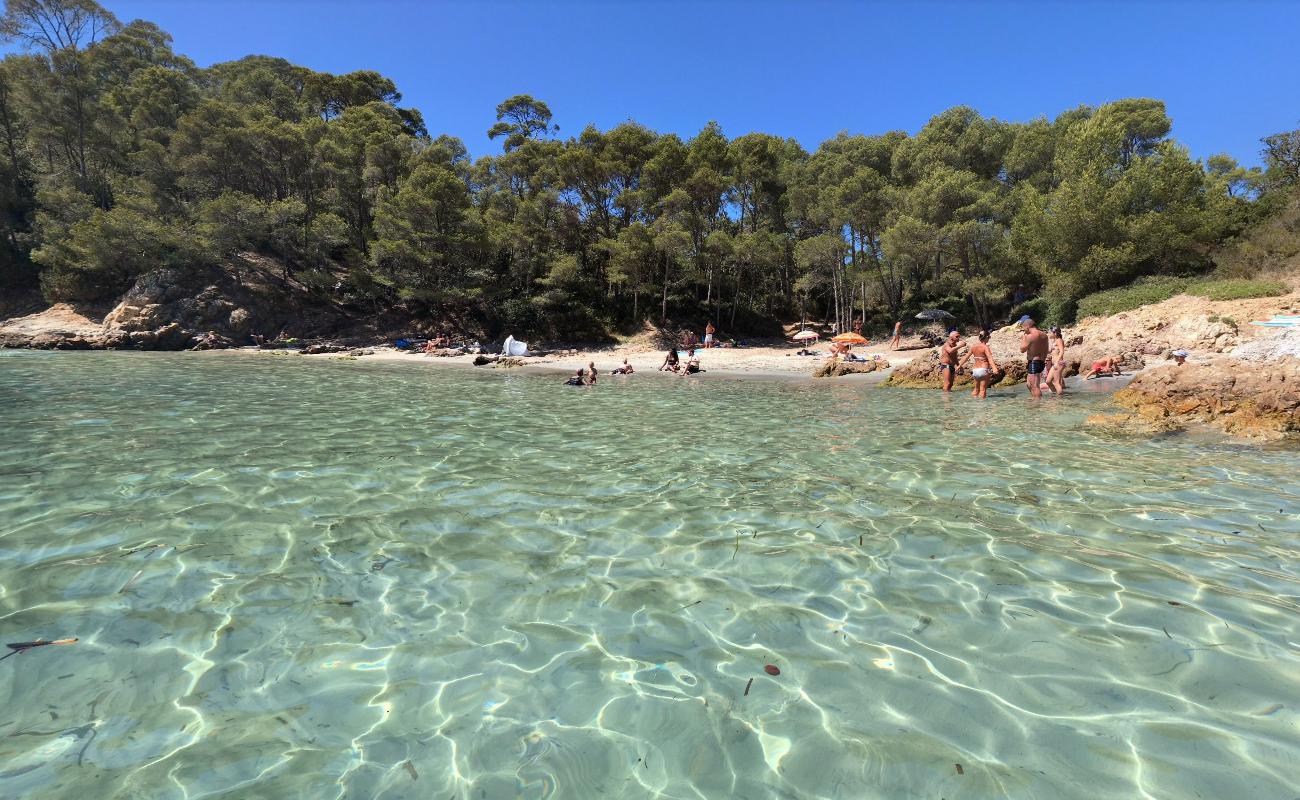 Photo de Plage de Cap Léoube avec plusieurs micro baies