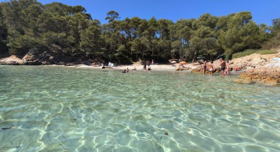 Plage de Cap Léoube