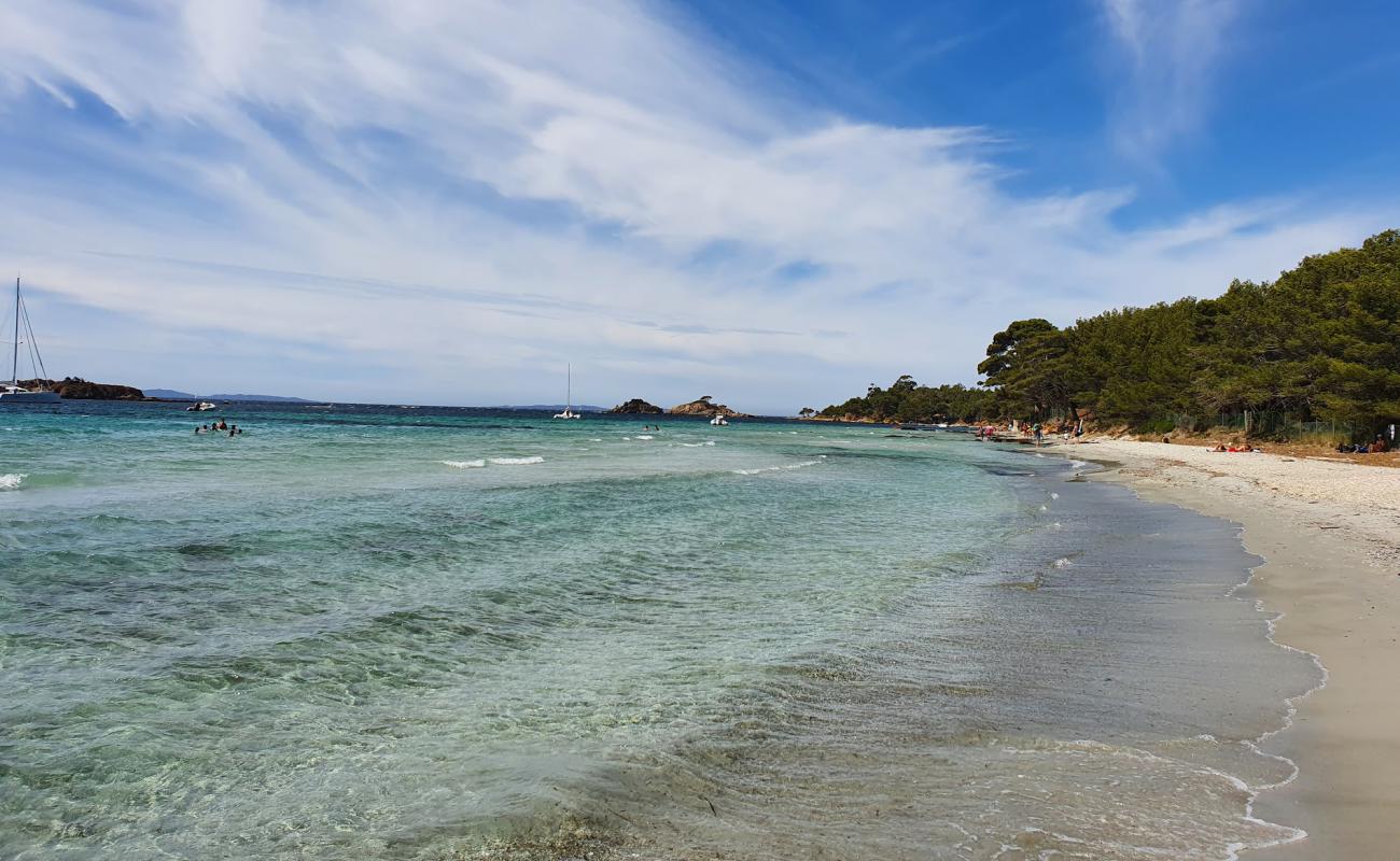 Photo de Large garden beach avec sable blanc de surface