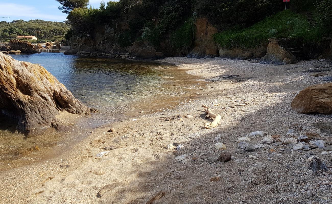 Photo de Castle beach avec sable beige & pierres de surface