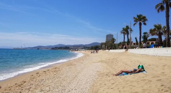 Plage du Lavandou