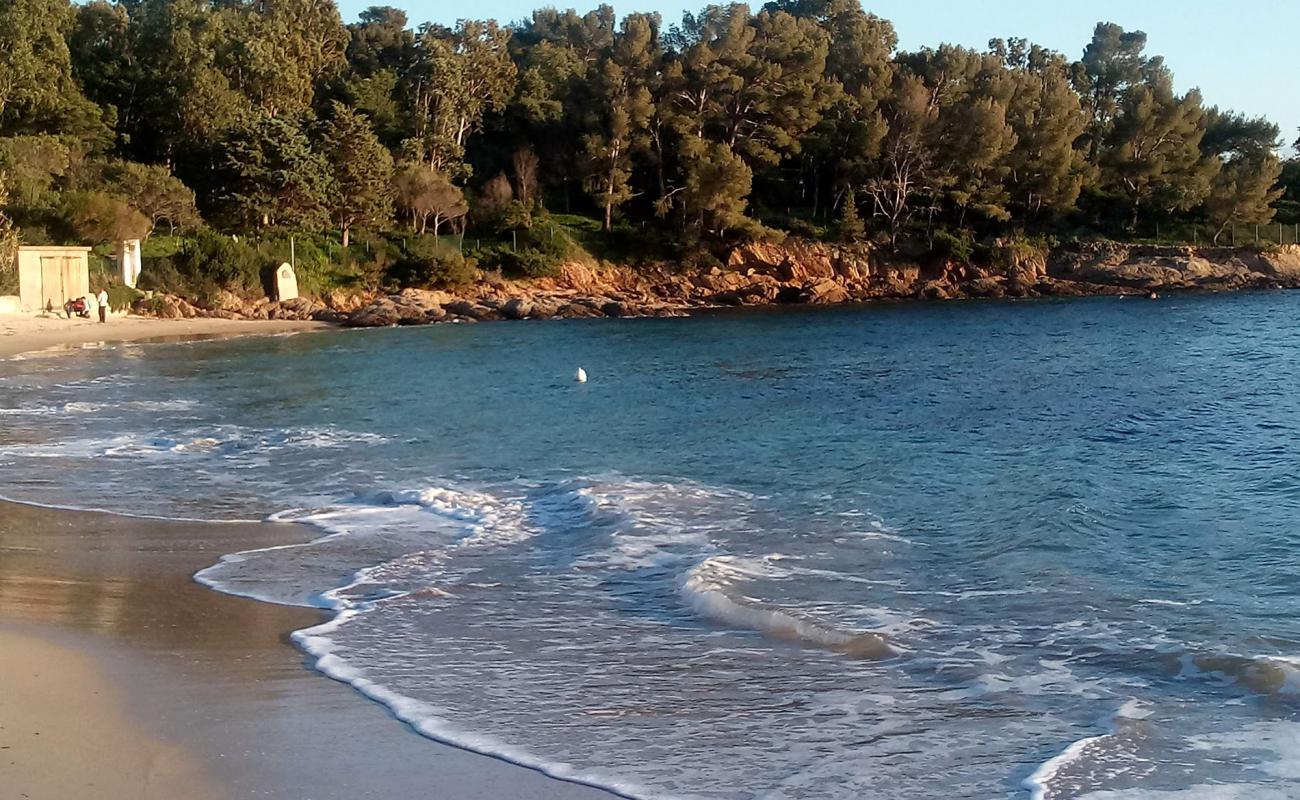 Photo de Dimple beach avec sable blanc de surface