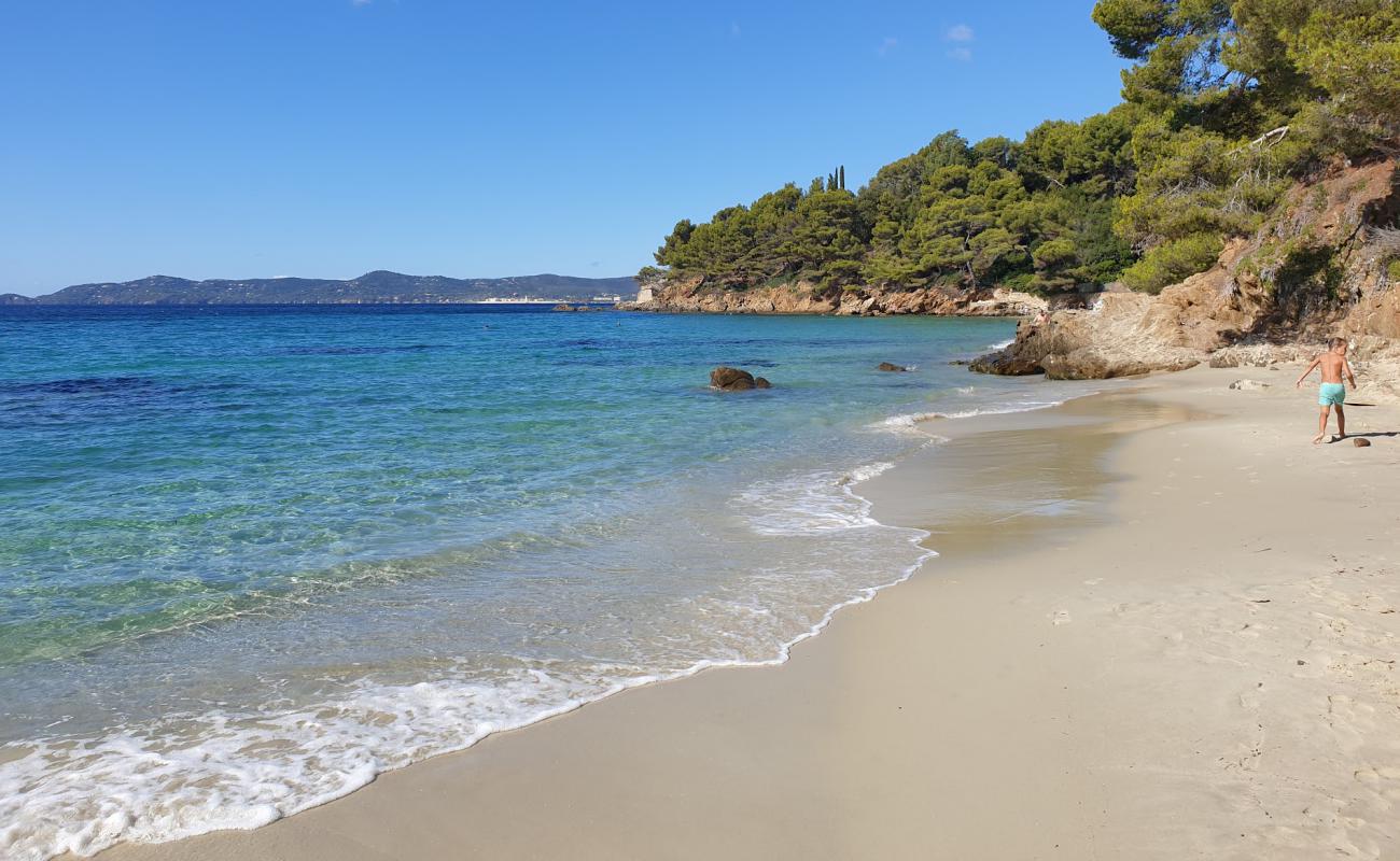 Photo de White Jean beach avec sable lumineux de surface