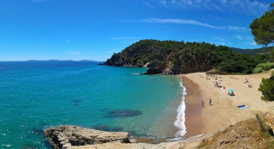 Plage de Bonporteau