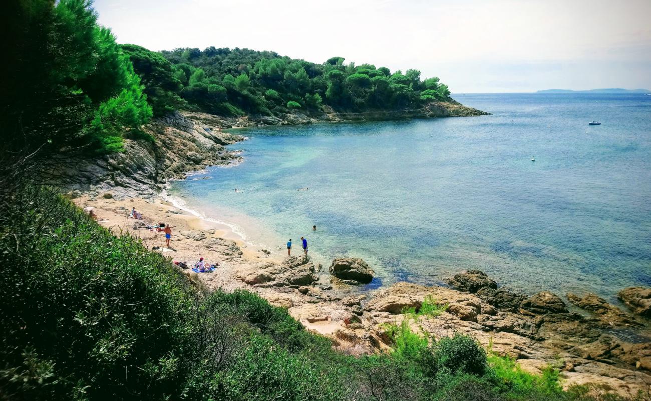 Photo de Plage de Gigaro avec sable brillant et rochers de surface