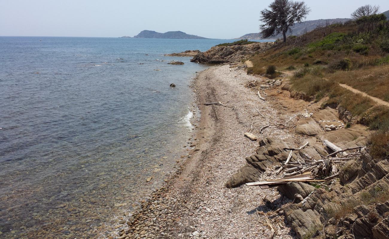 Photo de Quessine beach avec roches de surface