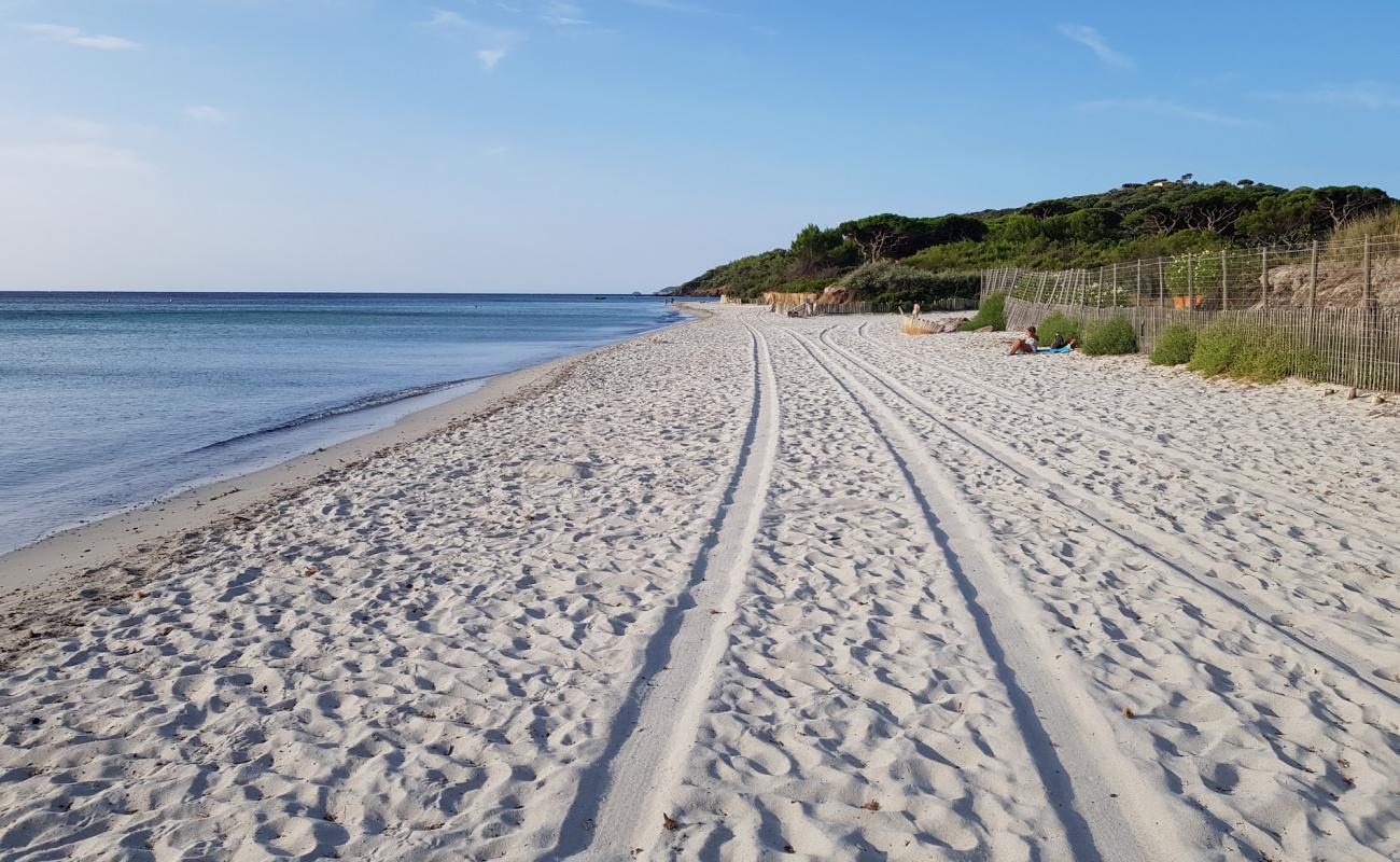 Photo de Salins beach avec sable fin et lumineux de surface